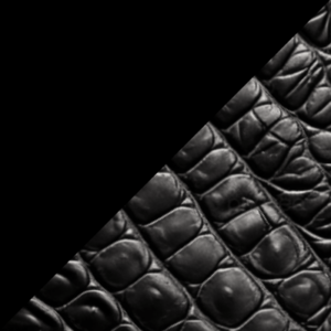 Zwart-Zwart Croco