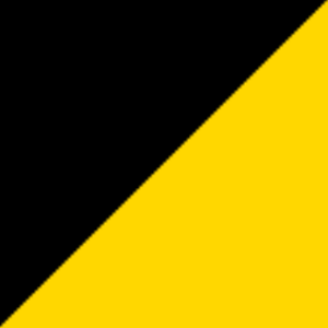 Zwart/goud