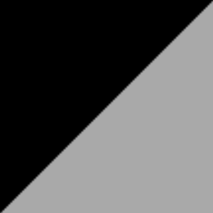 Zwart/Grijs