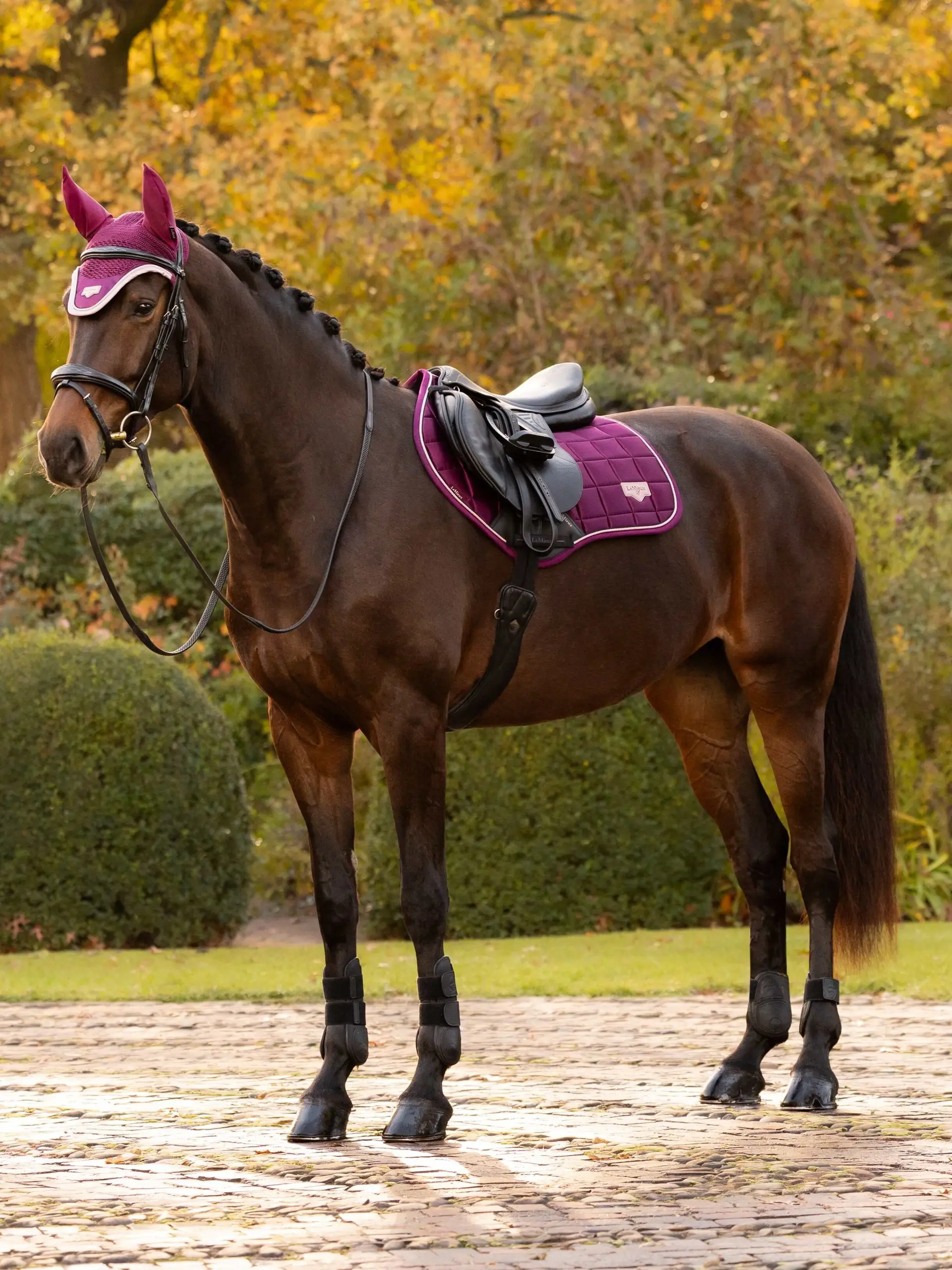 LeMieux Sjabrak Loire AW26 - Afbeelding 2
