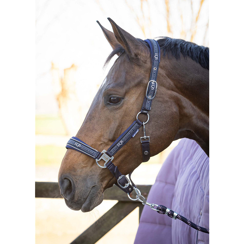 Harry's Horse Halsterset EQS - Afbeelding 2