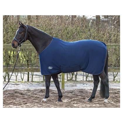 Harry's Horse Thermoliner