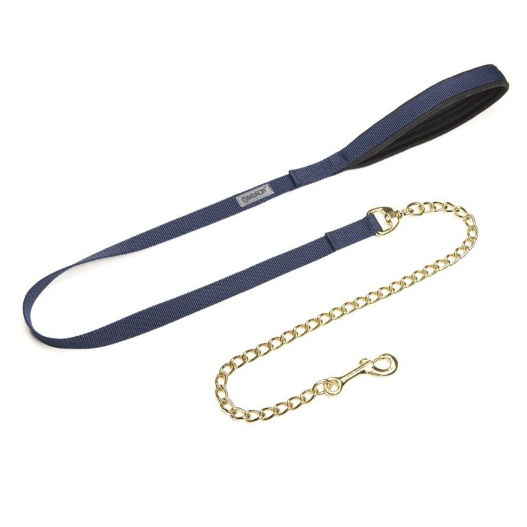 Eskadron Hengstenketting Goud - Afbeelding 2