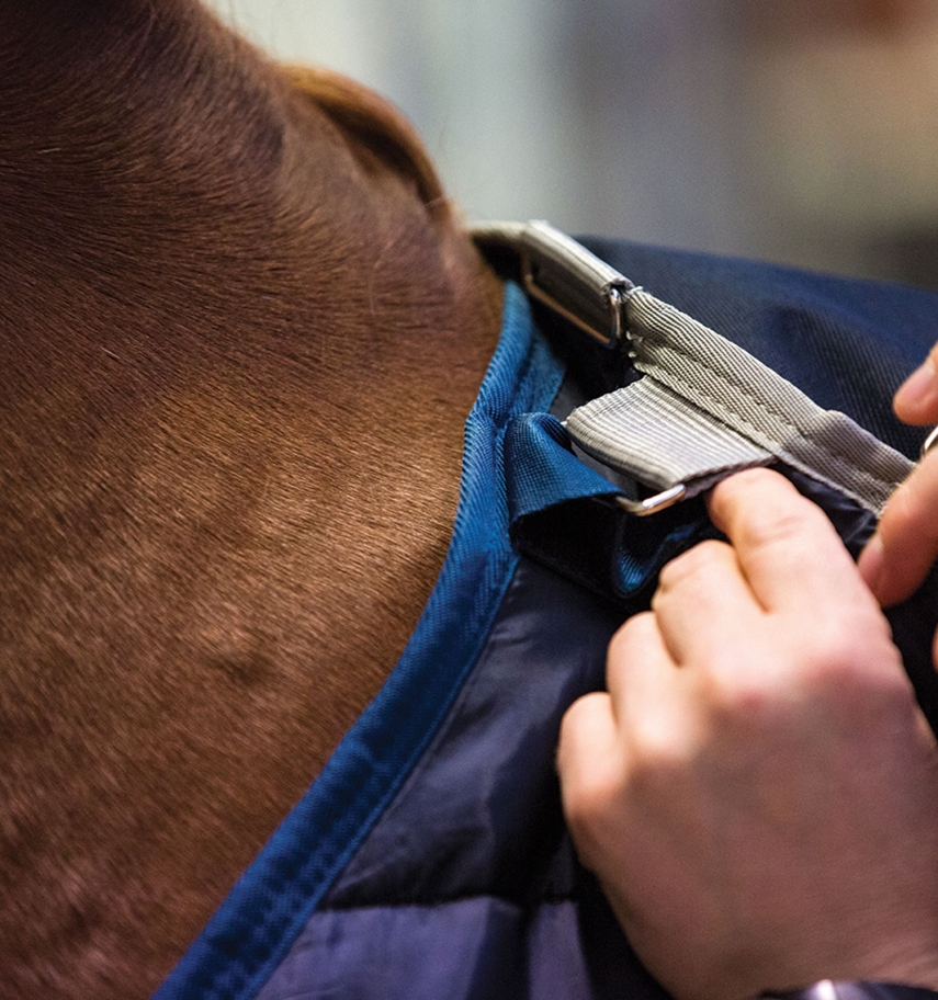 Horseware Liner - Afbeelding 3