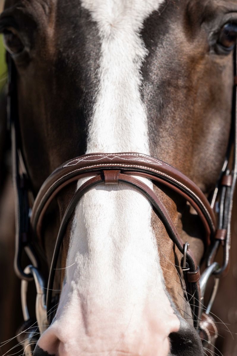 HB Showtime Regular Hoofdstel - Afbeelding 7