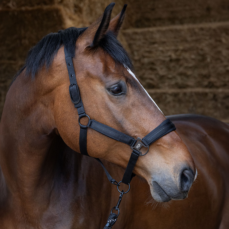 Harry's Horse Halsterset Black Edition - Afbeelding 3
