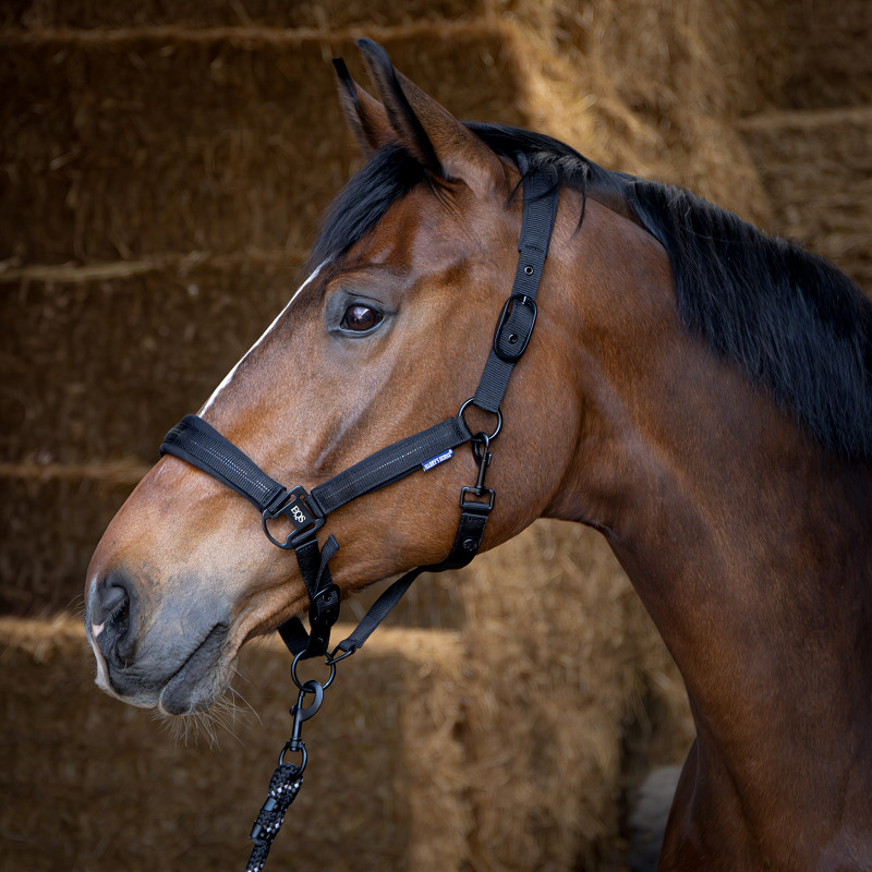 Harry's Horse Halsterset Black Edition - Afbeelding 4
