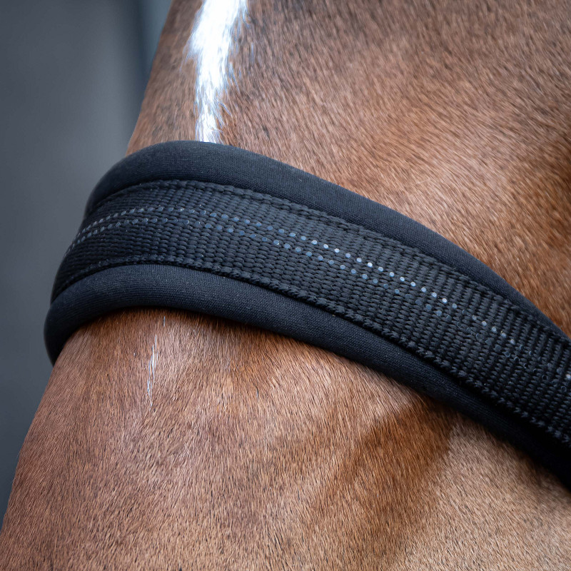 Harry's Horse Halsterset Black Edition - Afbeelding 5