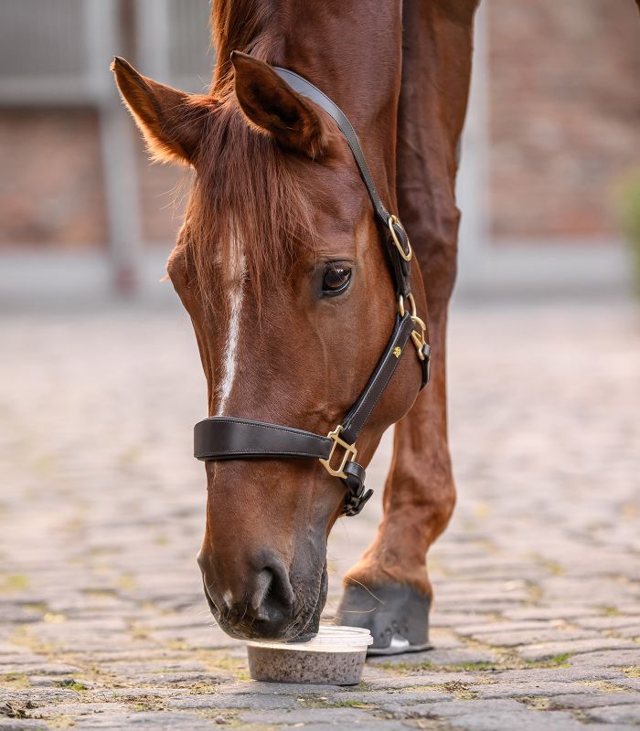 Waldhausen StableSnack Likbak/liksteen - Afbeelding 3