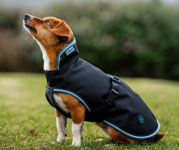 Bucas Honderdeken Anniversary Dog Rug