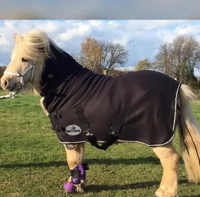 Paardendekens
