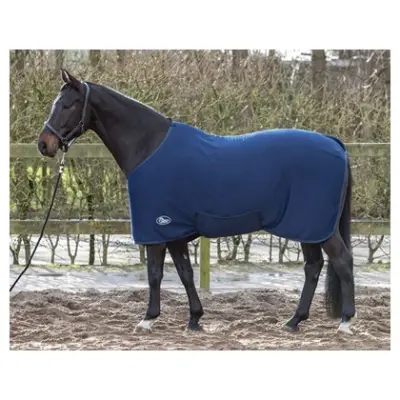 Paardendekens