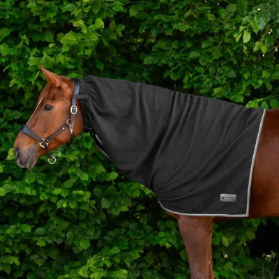 Paardendekens