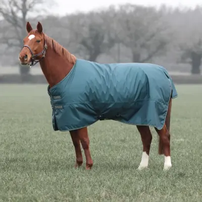 Paardendekens